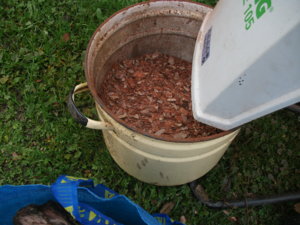 DSCF5851.JPG