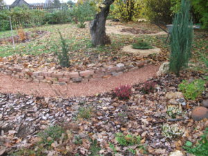 DSCF5854.JPG
