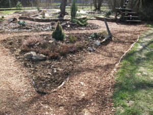 DSCF6247.JPG