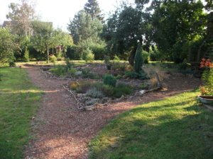 DSCF6432.JPG