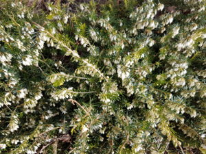 20170329_095413.jpg