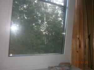 P7230005.JPG