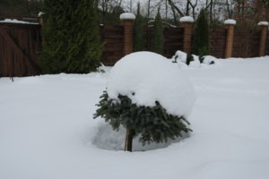 IMG_5320.JPG