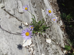 DSC09380.jpg