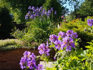 20170616_094000.jpg