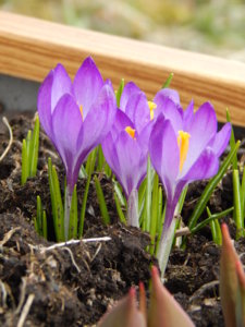 DSCN4198.JPG