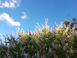 20170615_190847.jpg