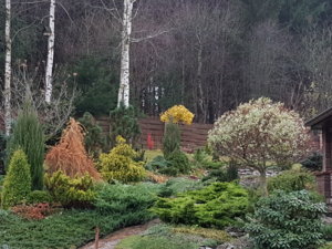 20171110_135831.jpg