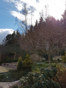20170324_143144.jpg