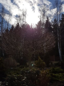20170324_143022.jpg