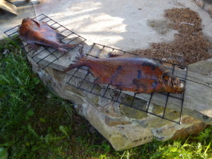 DSCN1172.JPG