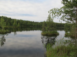 IMG_0369.JPG