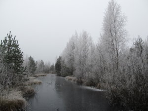 IMG_0978.JPG