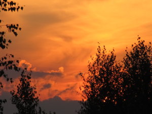 IMG_0655.JPG