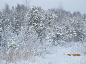 IMG_1322.JPG