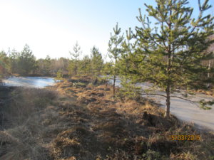 IMG_1763.JPG