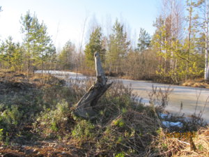 IMG_1764.JPG