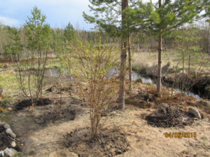 IMG_2049.JPG