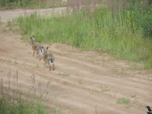 DSCN5038.JPG