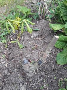 20180607_134332.jpg