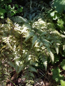 20180608_102228.jpg