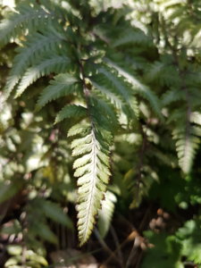 20180608_102237.jpg