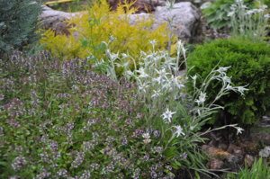 DSC_0154 (2).JPG
