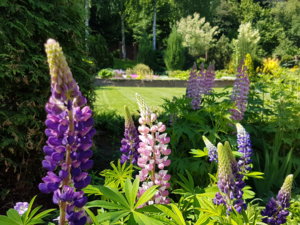20180603_114956.jpg