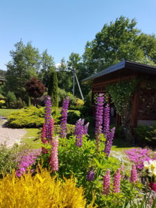 20180603_115312.jpg