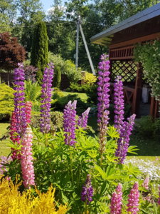 20180603_115324.jpg