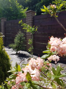 20180603_121451.jpg