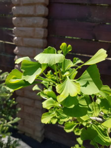 20180603_121542.jpg
