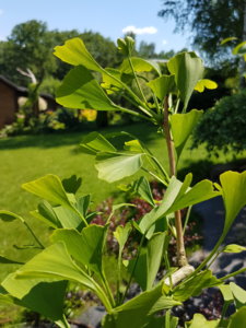 20180603_121614.jpg