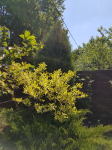 20180603_113623.jpg