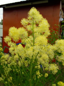 20180617_183509.jpg