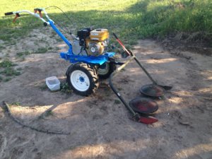 фото с айфона 036.JPG