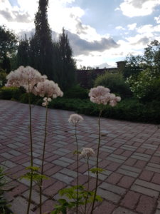 20180607_192739.jpg