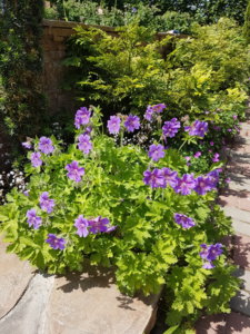 20180603_135325.jpg
