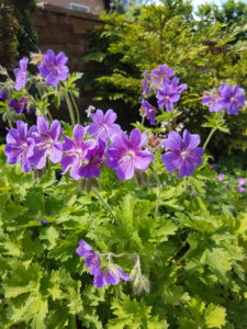 20180603_135337.jpg