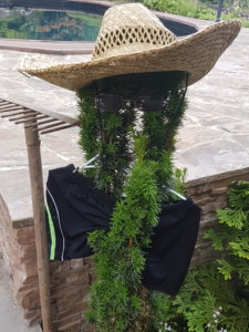 20180612_083911.jpg
