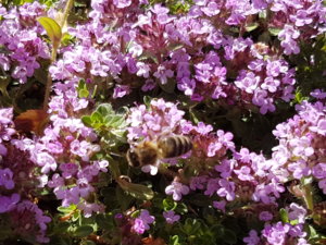20180608_102708.jpg