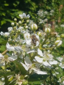 20180527_145322.jpg