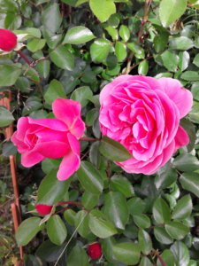 20180621_104116.jpg