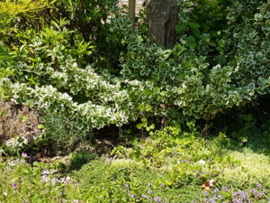 20180603_123435.jpg