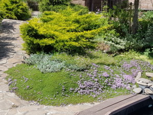 20180603_123515.jpg