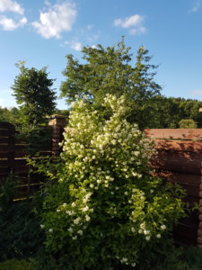 20180607_194334.jpg