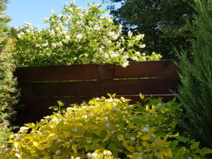 20180608_103850.jpg