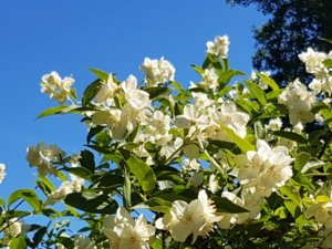 20180608_103908.jpg