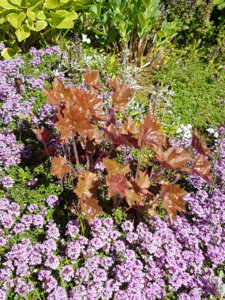 20180608_104035.jpg