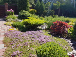 20180608_102843.jpg